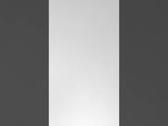 Teambuilding van het Dragon Boat Festival